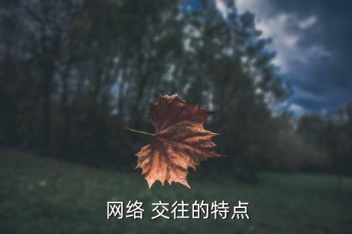  网络 交往的特点