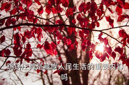 跳锅庄教案反思,跳锅庄舞吧卓