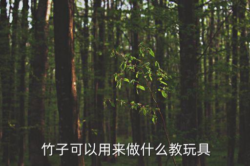  竹子可以用来做什么教玩具