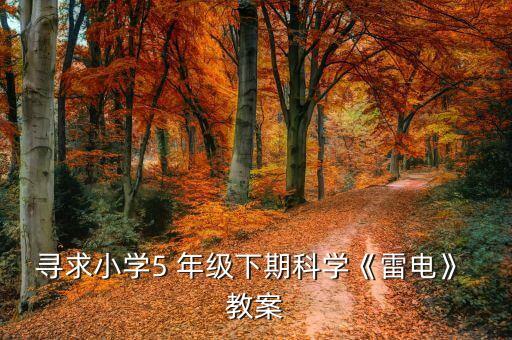 寻求小学5 年级下期科学《雷电》 教案