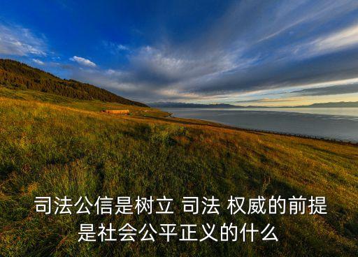  司法公信是树立 司法 权威的前提是社会公平正义的什么