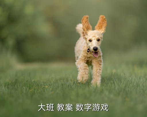 大班数字3的认写教案,大类教案数字游戏1目的要求及方法