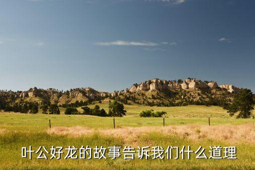叶公好龙北师大版教案,河南洛阳洛阳城市公园树木成为观光景点