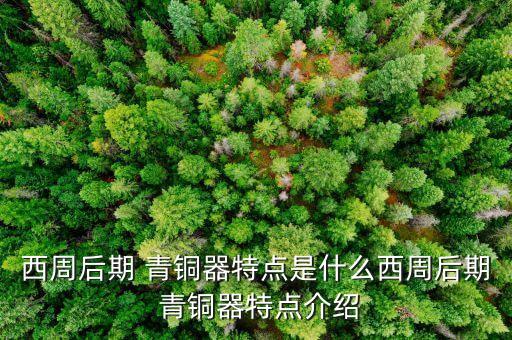 西周后期 青铜器特点是什么西周后期 青铜器特点介绍
