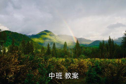  中班 教案
