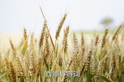  西湖导游词