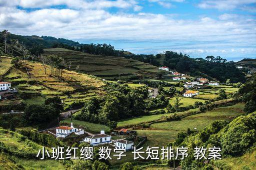  小班红缨 数学 长短排序 教案