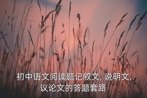  初中语文阅读题记叙文, 说明文,议论文的答题套路