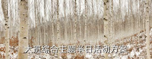大班综合主题半日活动方案