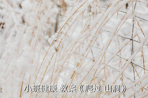  小班健康 教案《爬过 山洞》
