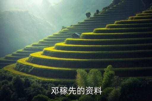  邓稼先的资料