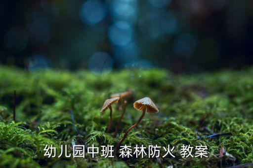 过森林 教案反思,幼儿园中班森林防火教案一、知多少?