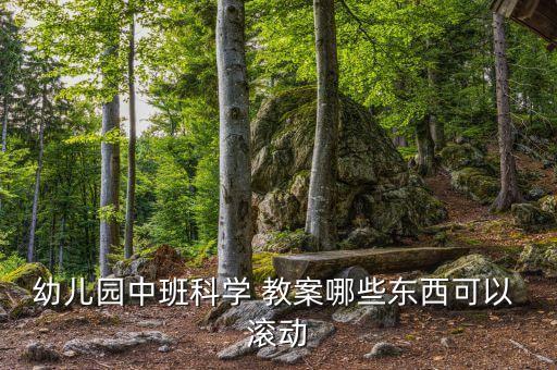 幼儿园中班科学 教案哪些东西可以 滚动
