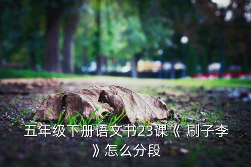  五年级下册语文书23课《 刷子李》怎么分段