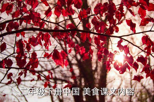 二年级下册中国 美食课文内容