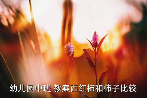 幼儿园中班 教案西红柿和柿子比较