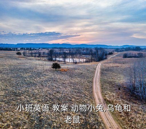 会爬动物教案小班,猜猜动物住哪儿?可以这样做!
