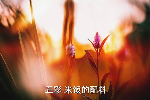  五彩 米饭的配料