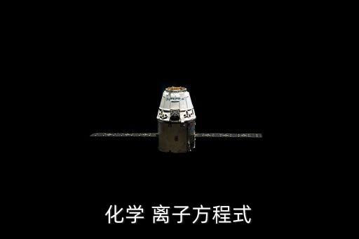 化学 离子方程式