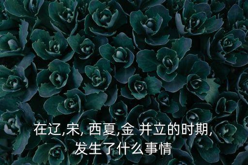 在辽,宋, 西夏,金 并立的时期,发生了什么事情