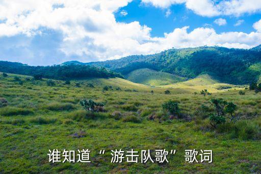 谁知道“ 游击队歌”歌词