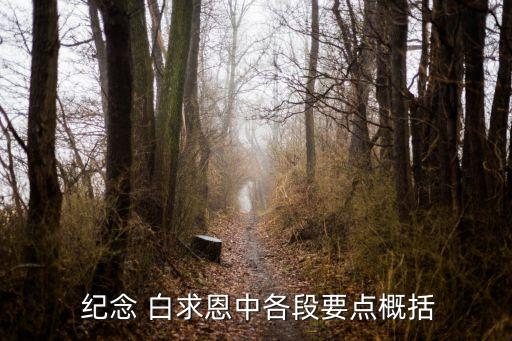  纪念 白求恩中各段要点概括
