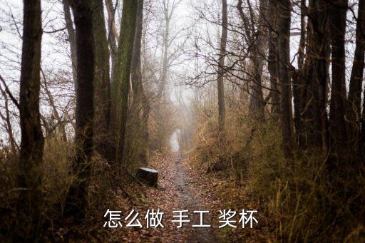 怎么做 手工 奖杯