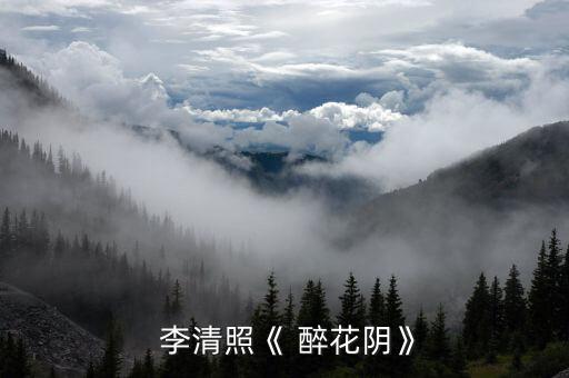 醉花阴李清照教案  板书,李清照重阳醉花尹信中寄意