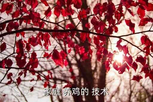 实用养鸡技术教案,草地自然青饲料和昆虫混养养鸡新方法受欢迎