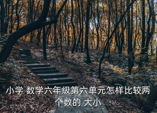 小学 数学六年级第六单元怎样比较两个数的 大小