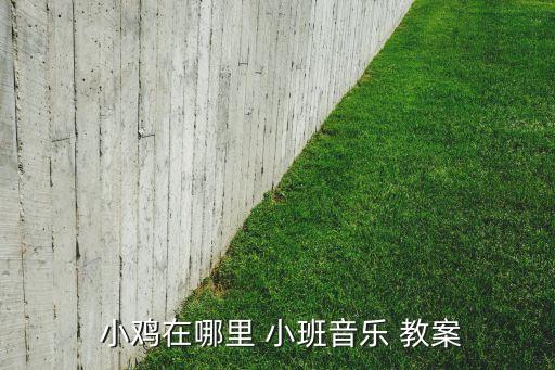 有关主题小鸡的小班教案,小鸡出壳幼儿园小班教案