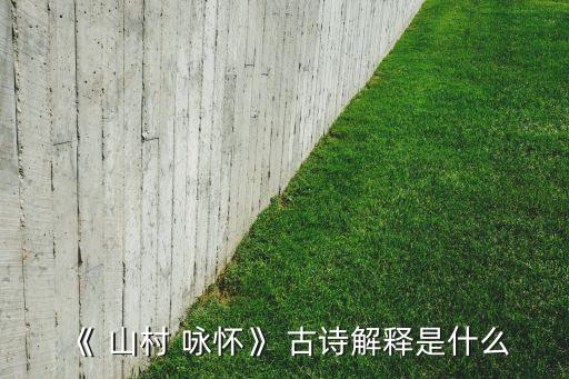 《 山村 咏怀》 古诗解释是什么