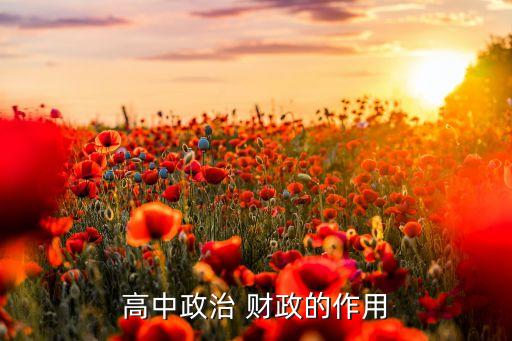 高中政治 财政的作用