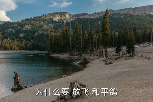 为什么要 放飞 和平鸽