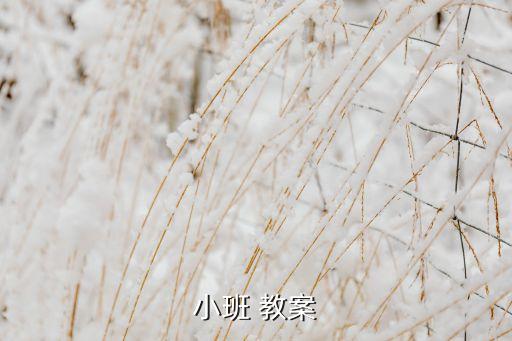 合作分豆子 教案,小班教案怎么写,请看过!