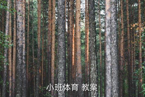 小班级体能教案,小学教案有何不同?