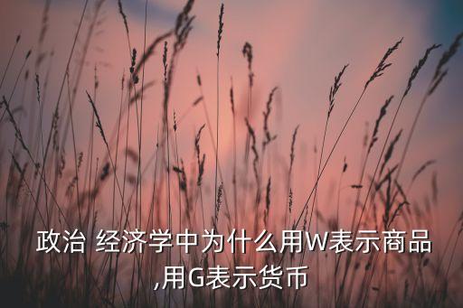 德语政治与经济教案,德国或联邦共和国成立于50年代初期