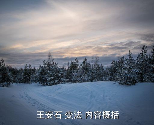  王安石 变法 内容概括