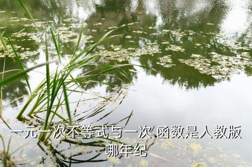 一元一次不等式与一次 函数是人教版哪年纪
