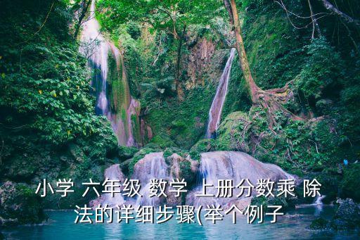 小学 六年级 数学 上册分数乘 除法的详细步骤(举个例子