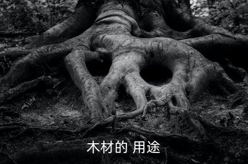 木材的 用途