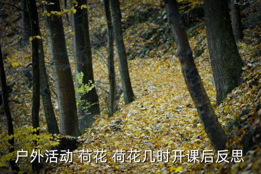 小班教案荷花荷花几时开,如何正确观赏荷花?
