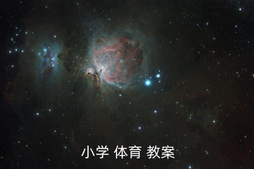  小学 体育 教案