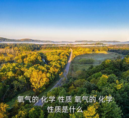 氧气的 化学 性质 氧气的 化学 性质是什么