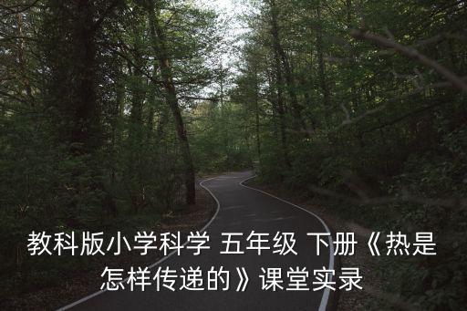 教科版小学科学 五年级 下册《热是怎样传递的》课堂实录