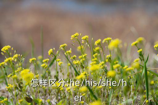怎样区分:he/his/she/her