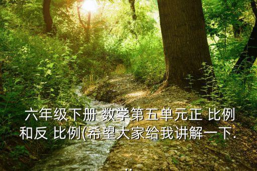 六年级数学下反比例教案,比例制定新规定