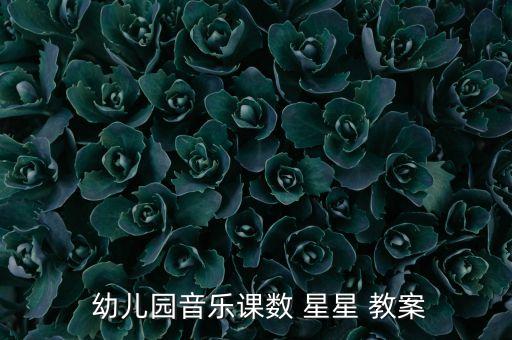  幼儿园音乐课数 星星 教案