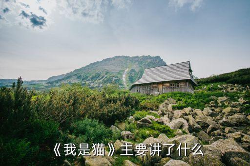 《我是猫》主要讲了什么
