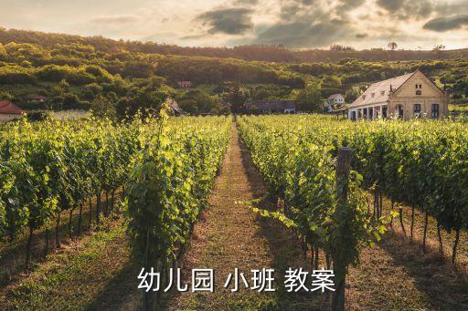 幼儿小班滑滑梯教案,幼儿garden小班教案8教案